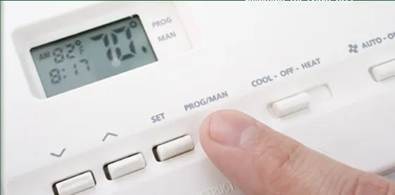 Trusted yard maintenance in Newtown, PA - William W Fabian & Son