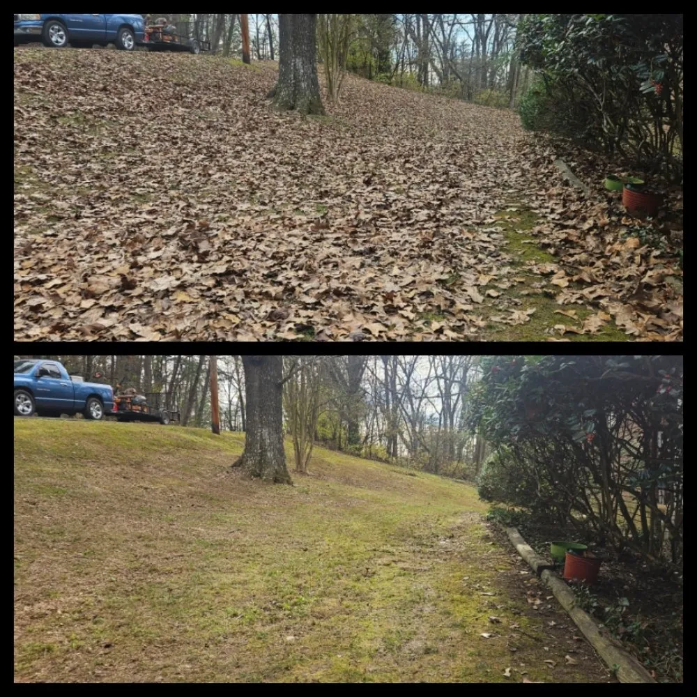 Expert landscape design in Middle Valley, TN by Williams 423 Lawn Care