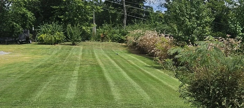 Custom yard cleanup service experts serving Middle Valley, TN - Williams 423 Lawn Care