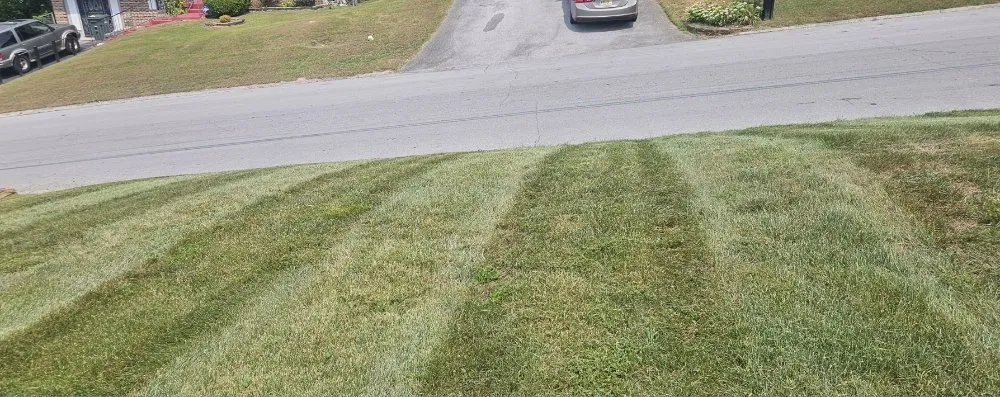 Trusted outdoor landscaping in Middle Valley, TN - Williams 423 Lawn Care