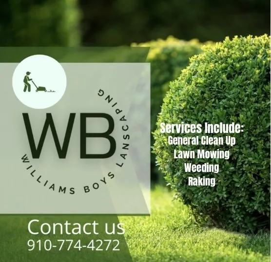 Expert yard cleanup service for residential properties across Lumberton, NC - Williams Boys Landscaping