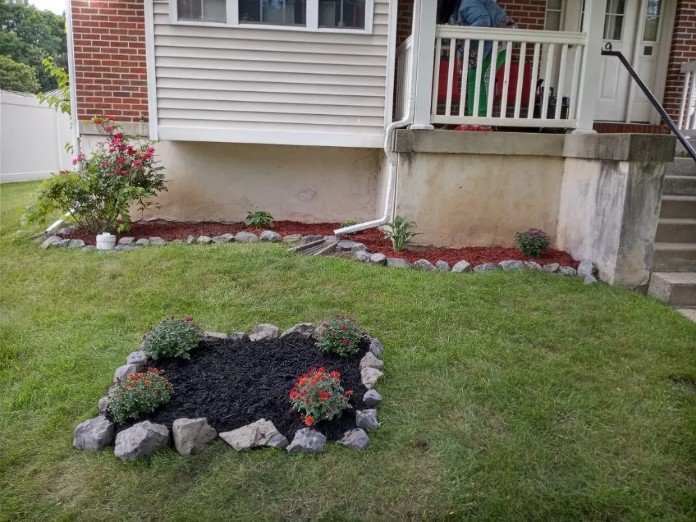 Affordable yard cleanup service in Amsterdam, NY by Williams Demo Landscaping And Clean outs