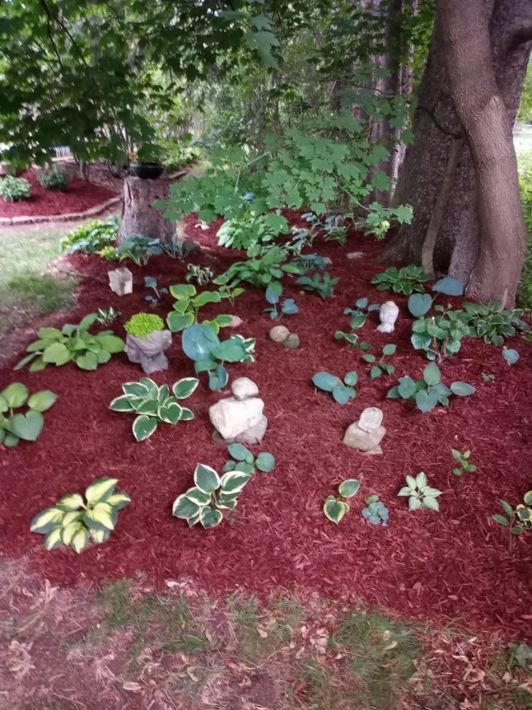 Local outdoor landscaping experts serving Amsterdam, NY - Williams Demo Landscaping And Clean outs