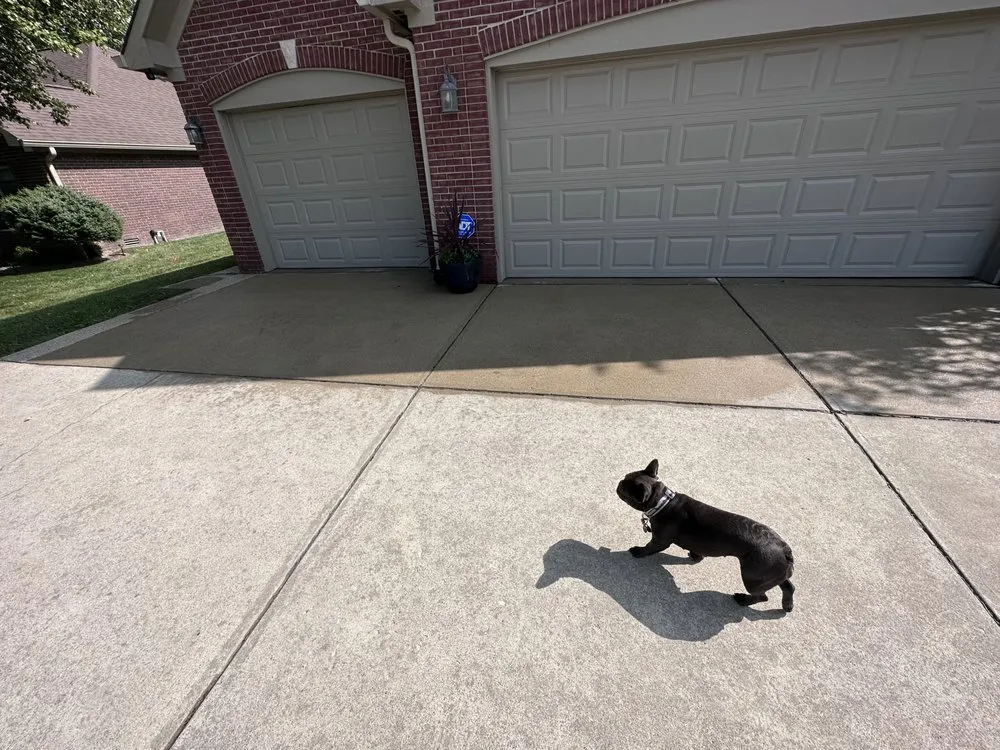 Affordable outdoor landscaping for year-round maintenance in Indianapolis, IN by Williams Exertion