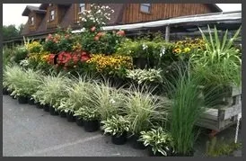 Top-rated lawn care service in Covington Township, PA - Williams Garden Center