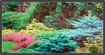 Expert outdoor landscaping in Covington Township, PA - Williams Garden Center