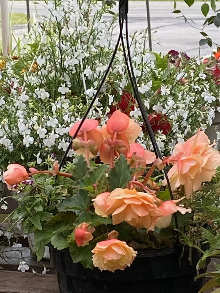 Trusted outdoor landscaping experts serving Covington Township, PA - Williams Garden Center