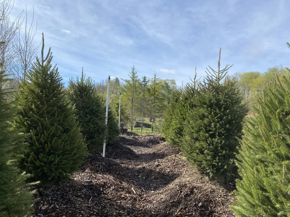 Trusted yard maintenance for year-round maintenance across Covington Township, PA - Williams Garden Center