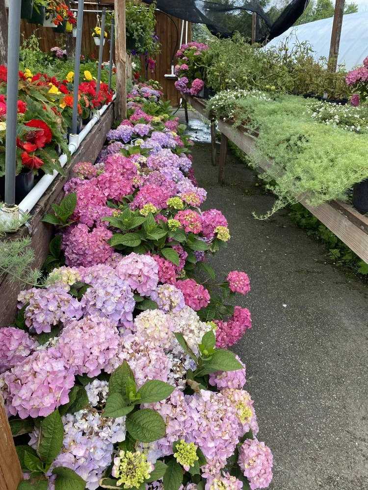 Professional lawn care service for beautiful yards across Covington Township, PA - Williams Garden Center