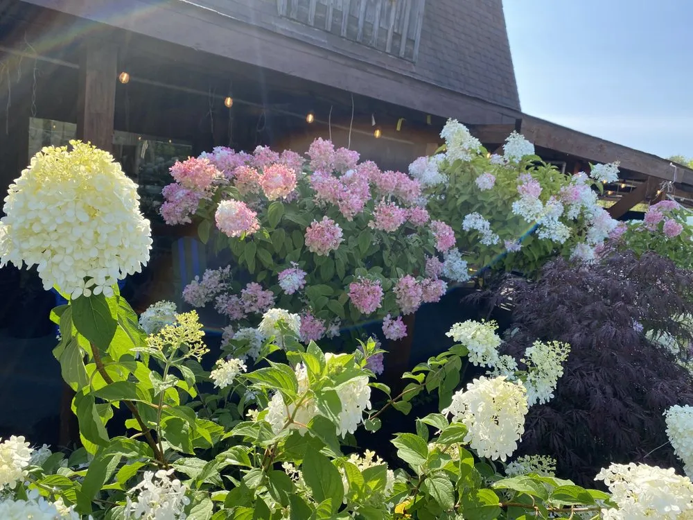 Professional outdoor landscaping in Covington Township, PA - Williams Garden Center