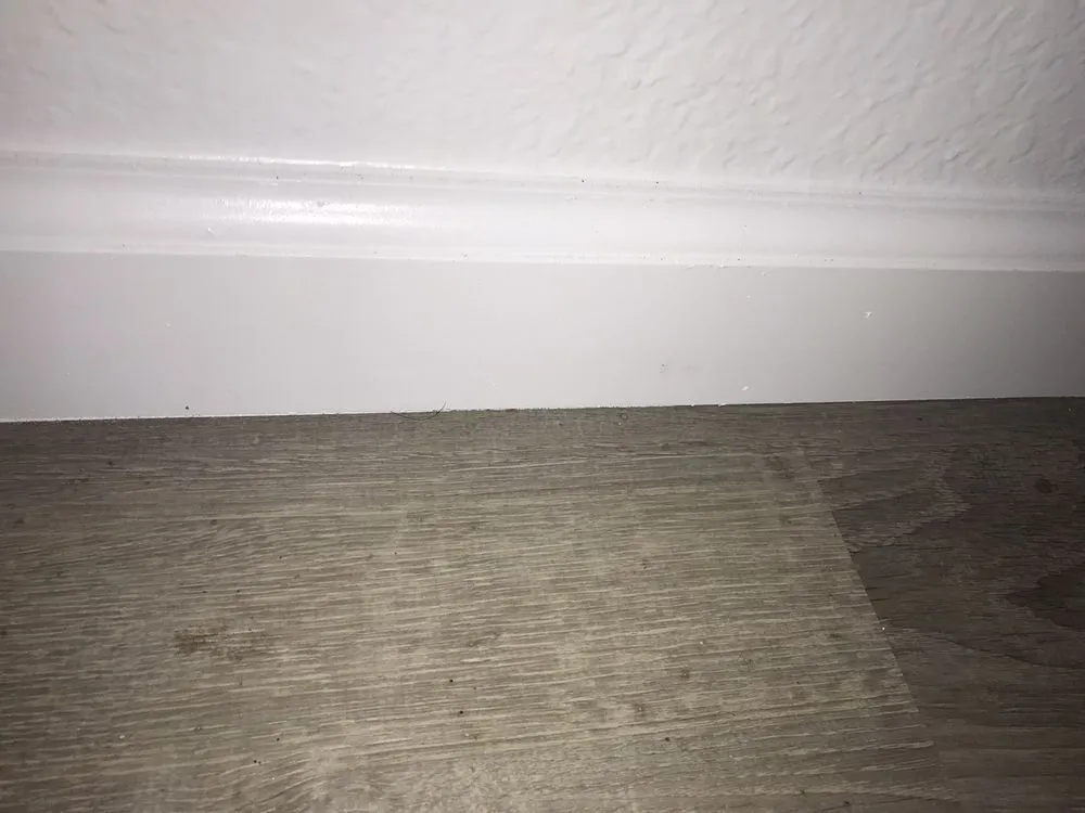 Top-rated landscape design in Stockton, CA - Williams House & Lawn Care Services