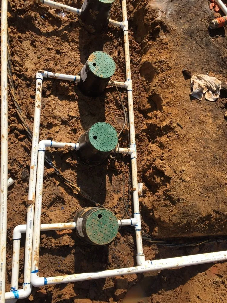 Local yard cleanup service for year-round maintenance across Killeen, TX - Williams Irrigation and Lawn Service