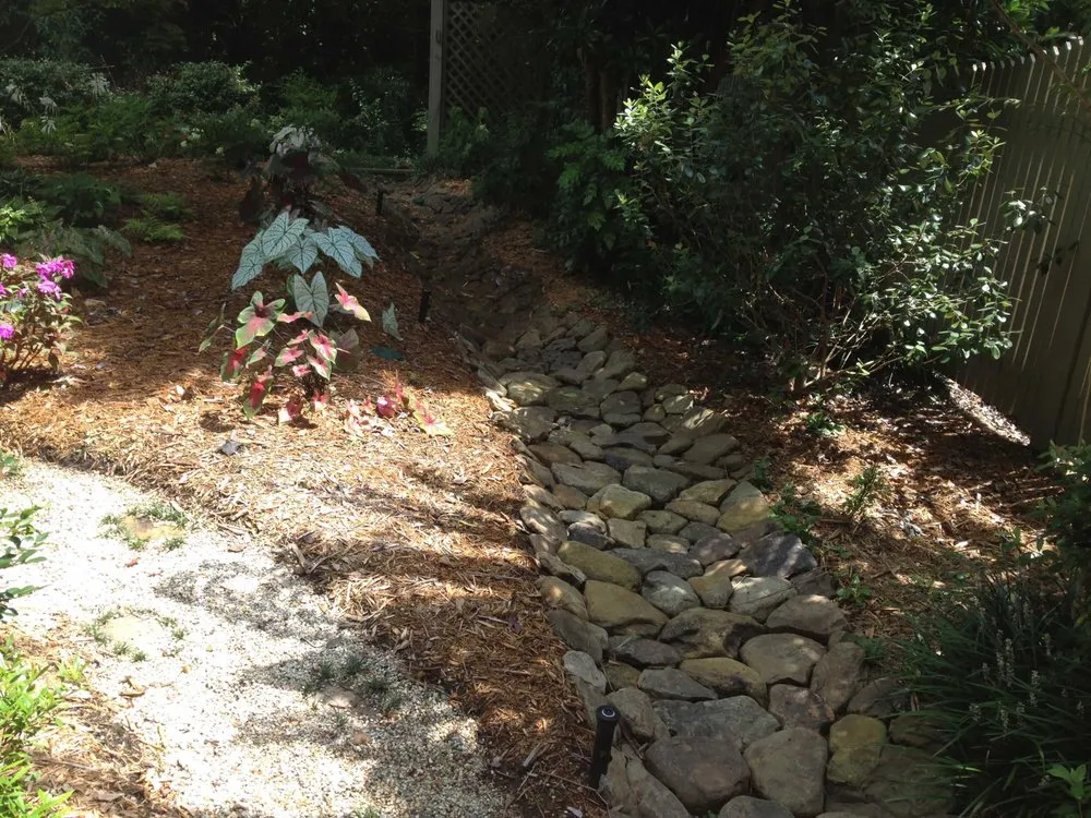 Local yard cleanup service for homes in Killeen, TX by Williams Irrigation and Lawn Service