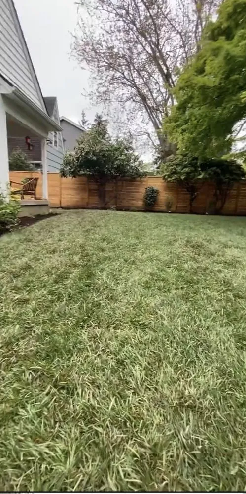 Local yard maintenance in Killeen, TX - Williams Irrigation and Lawn Service