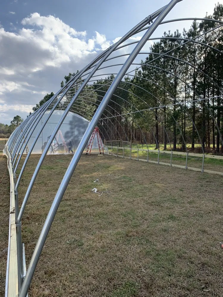 Expert outdoor landscaping for homes in Madison, MS by Williams Irrigation