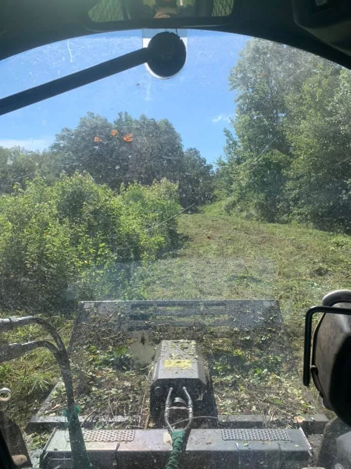 Reliable landscape installation experts serving Sherman, TX - Williams Land Clearing