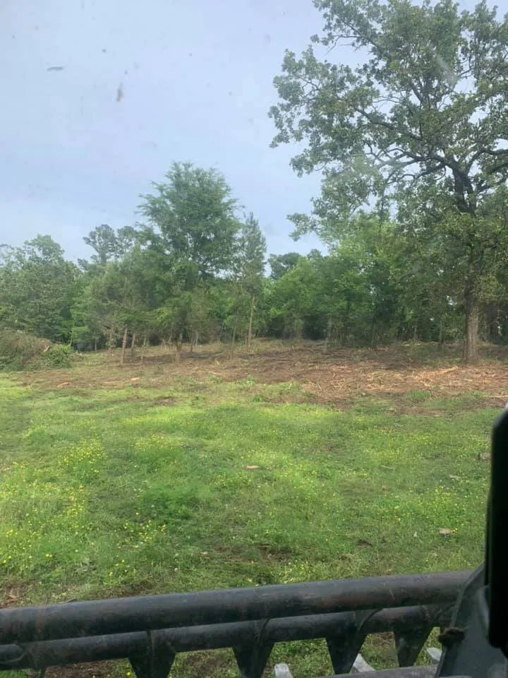 Expert yard cleanup service in Sherman, TX - Williams Land Clearing