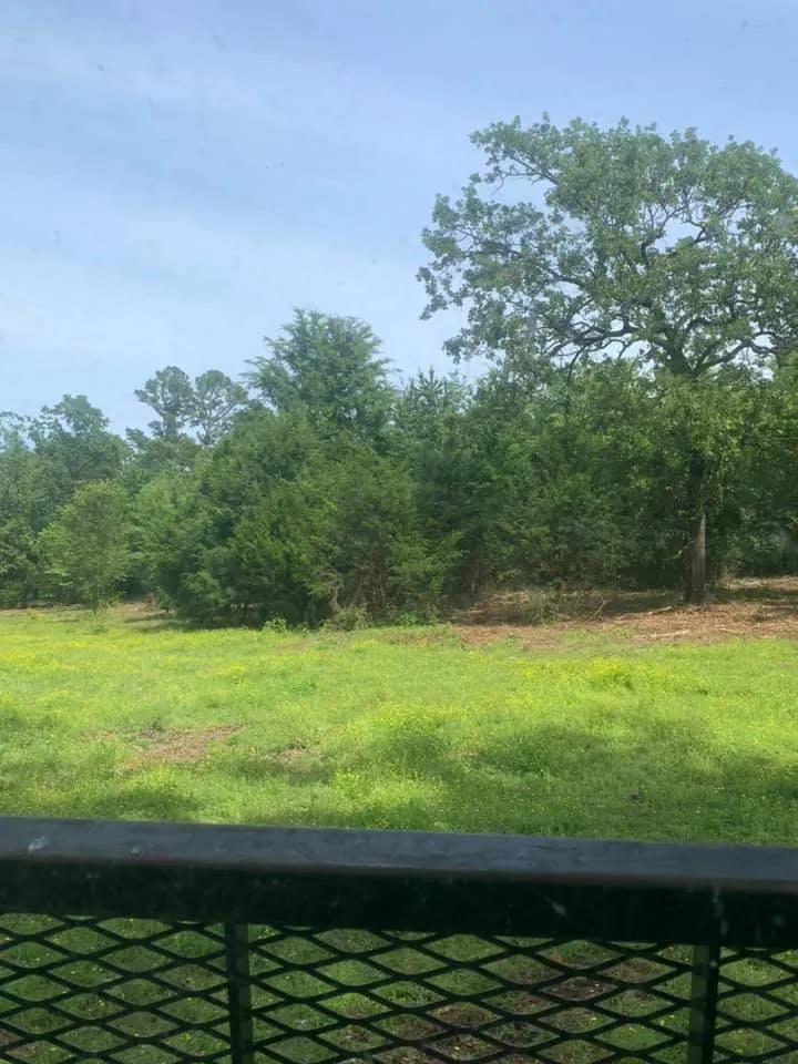 Trusted yard cleanup service experts serving Sherman, TX - Williams Land Clearing