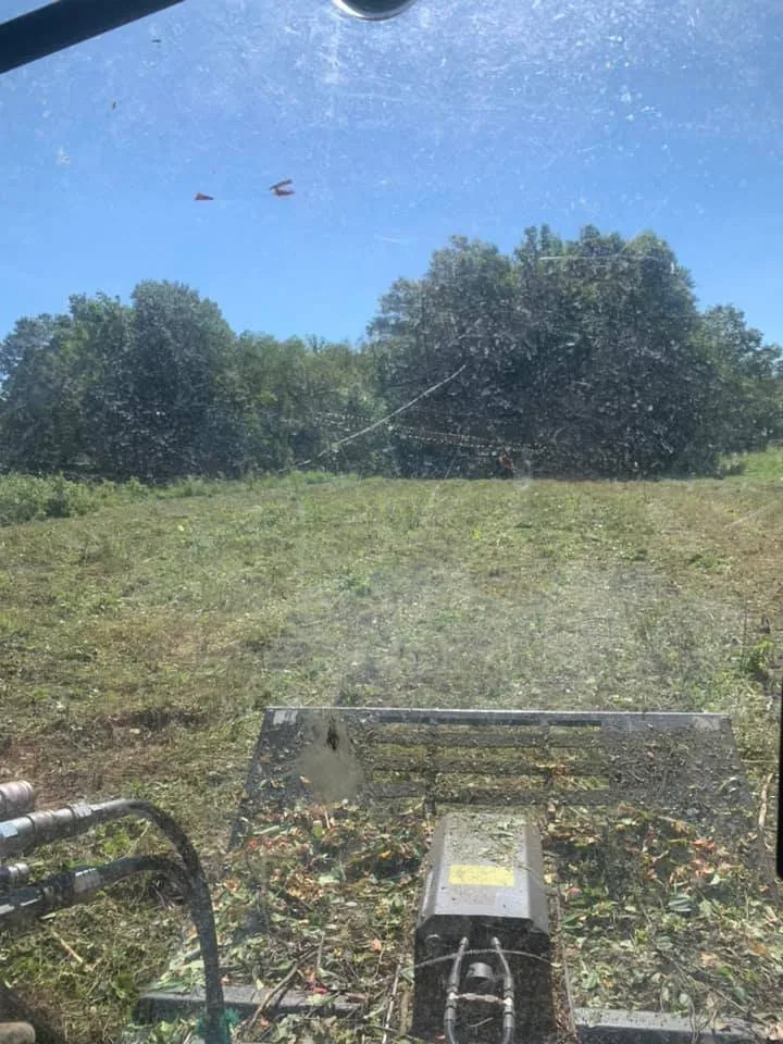 Expert landscaping services in Sherman, TX by Williams Land Clearing