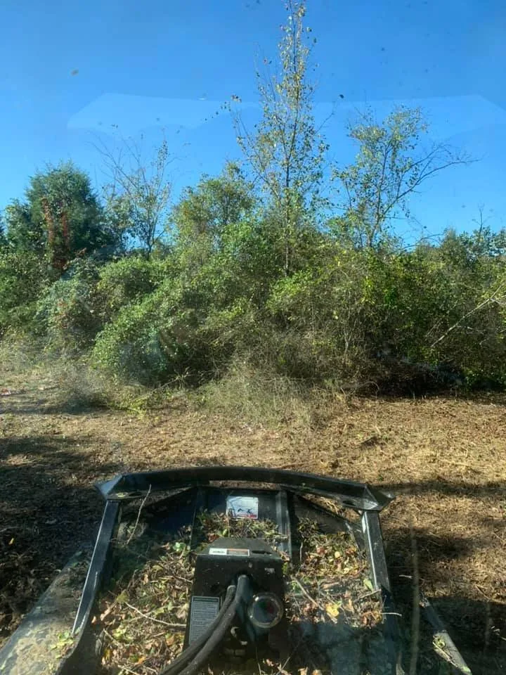 Reliable landscape installation experts serving Sherman, TX - Williams Land Clearing