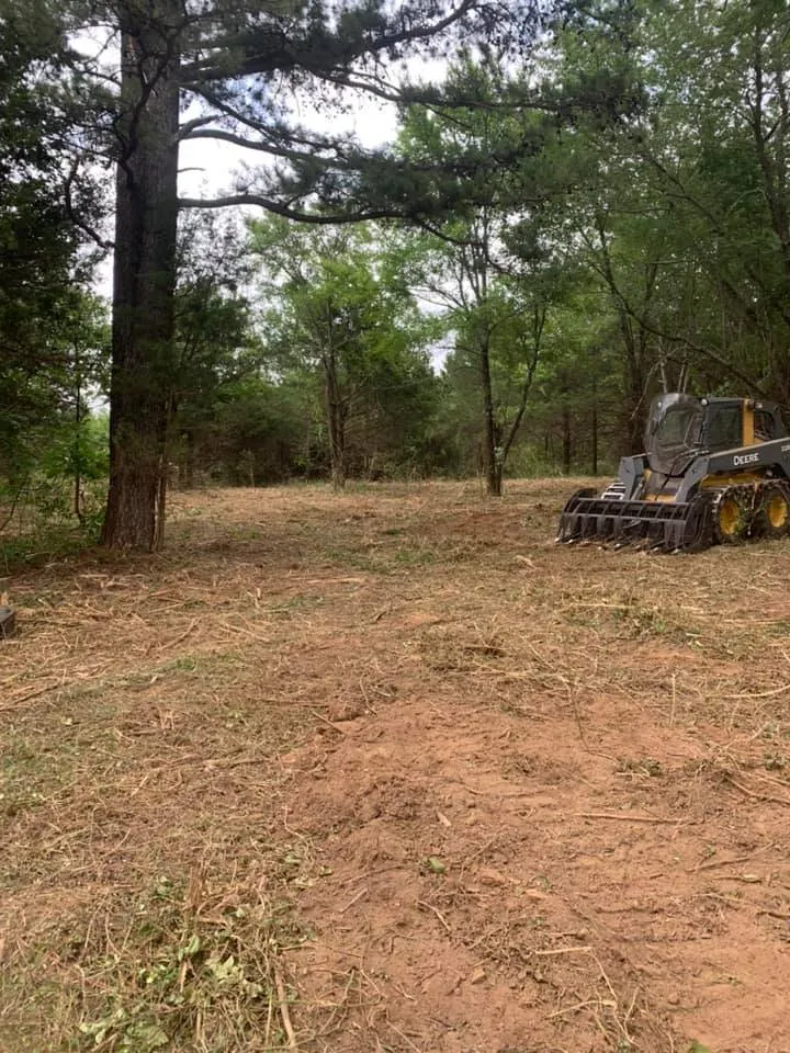 Reliable lawn care service for beautiful yards across Sherman, TX - Williams Land Clearing