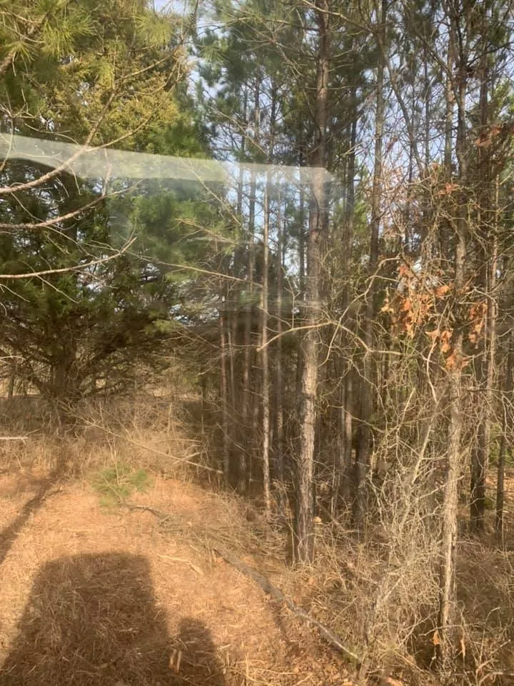 Top-rated garden landscaping in Sherman, TX by Williams Land Clearing