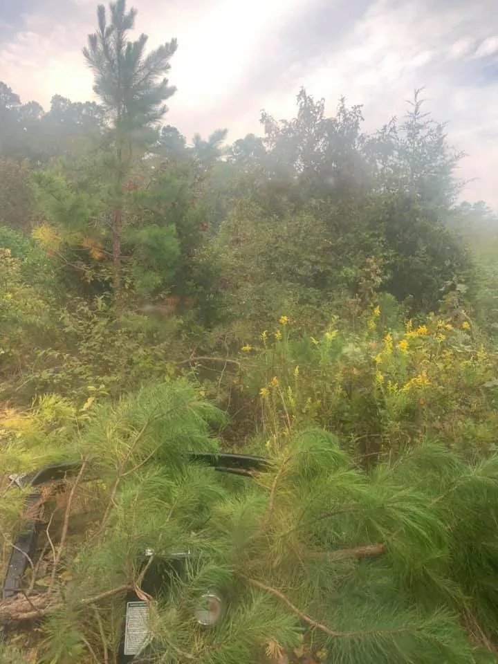 Expert lawn mowing service experts serving Sherman, TX - Williams Land Clearing