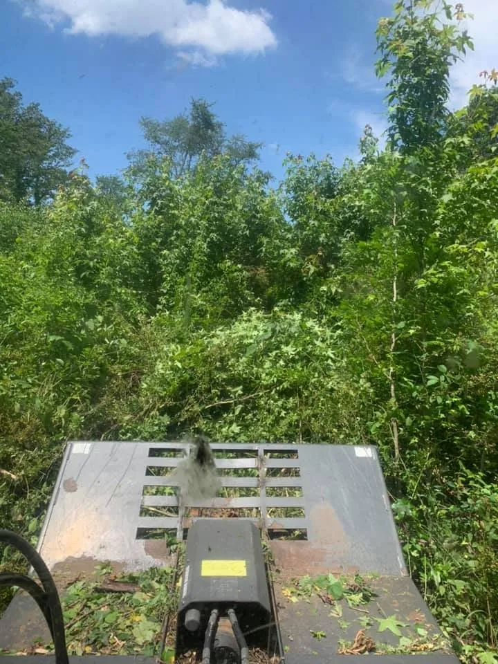 Trusted lawn mowing service in Sherman, TX - Williams Land Clearing