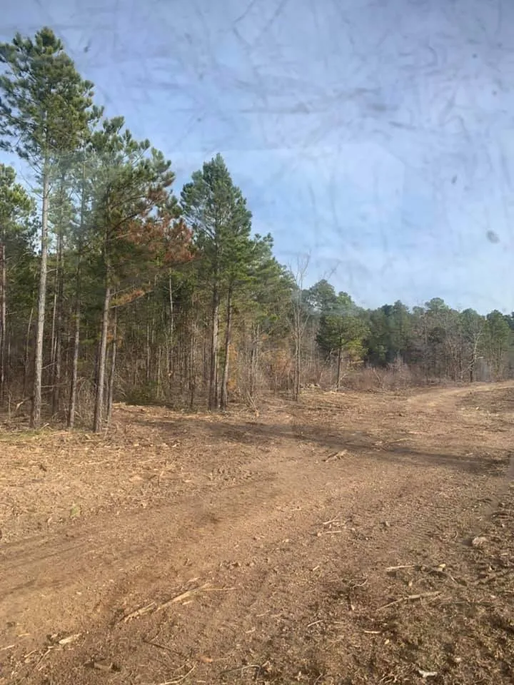 Reliable landscaping services experts serving Sherman, TX - Williams Land Clearing