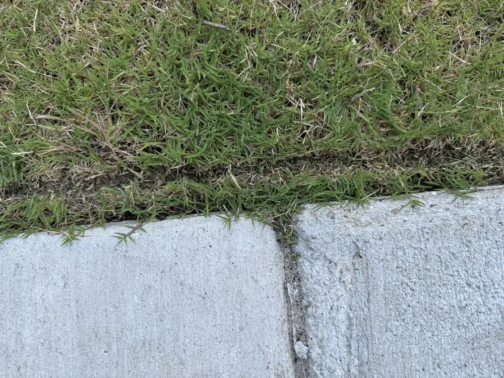 Professional landscaping services in Williamsburg, VA - Williams Landscape & Design