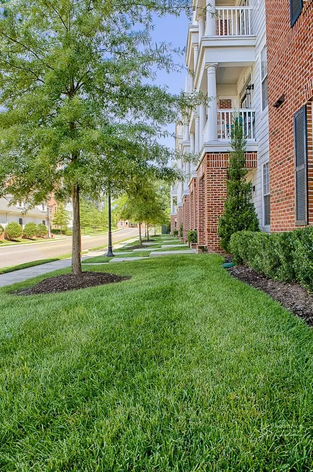 Professional yard maintenance in Williamsburg, VA - Williams Landscape & Design