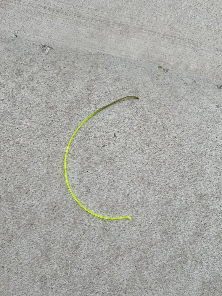 Custom lawn mowing service experts serving Williamsburg, VA - Williams Landscape & Design