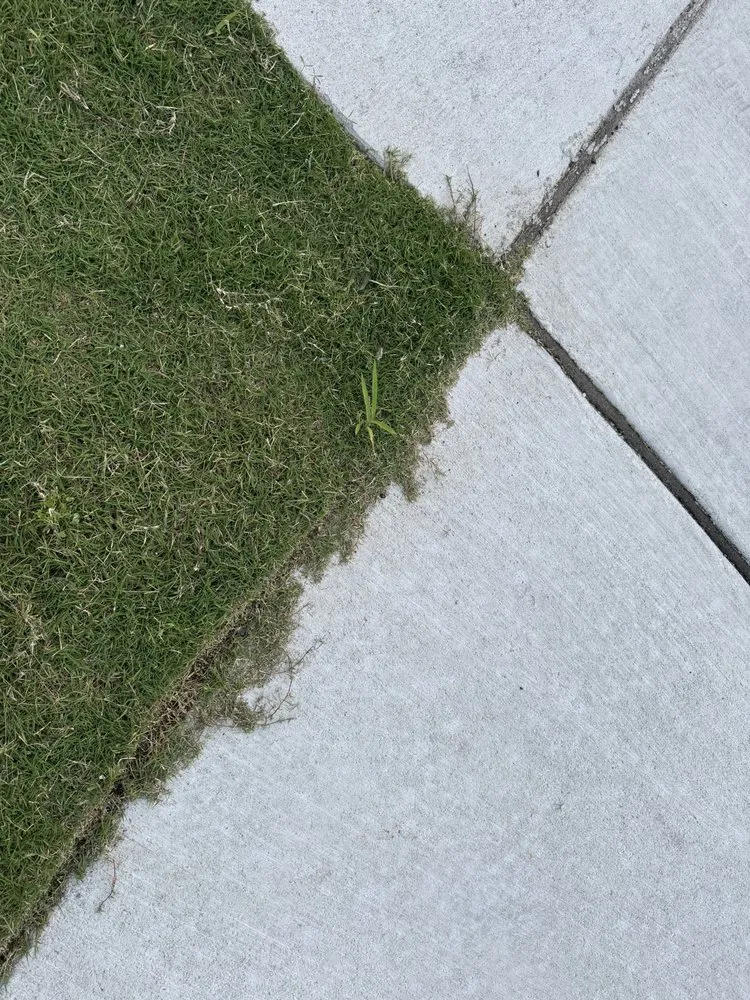 Local landscape installation in Williamsburg, VA - Williams Landscape & Design