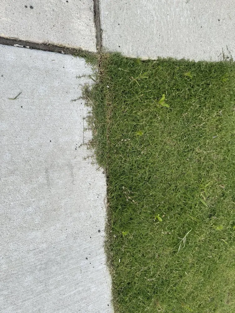 Top-rated landscaping services for beautiful yards across Williamsburg, VA - Williams Landscape & Design