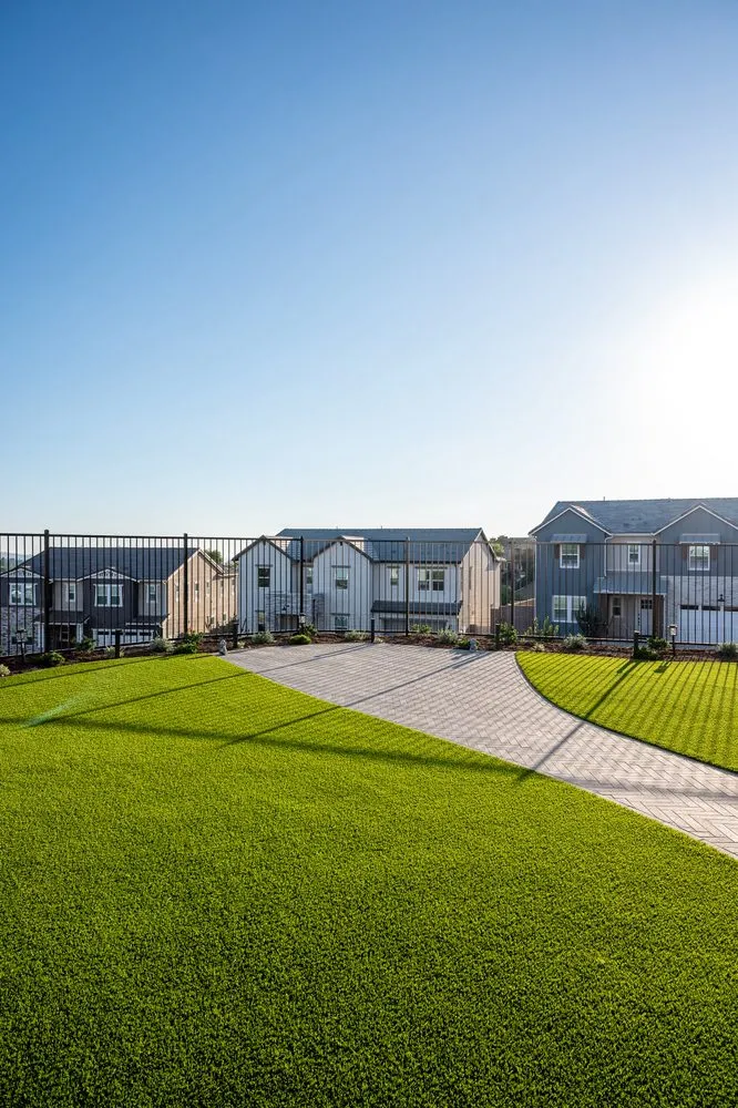 Custom landscape installation with custom design across Anaheim, CA - Williams Landscape Construction