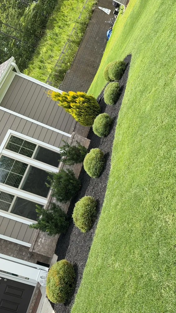 Top-rated landscape design for homes across Holly Springs, GA - William’s Landscape