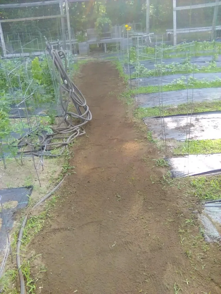 Top-rated residential landscaping for residential properties across Webster, NH - William's Landscaping and Snow Removal