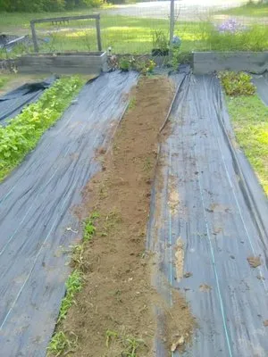 William's Landscaping and Snow Removal