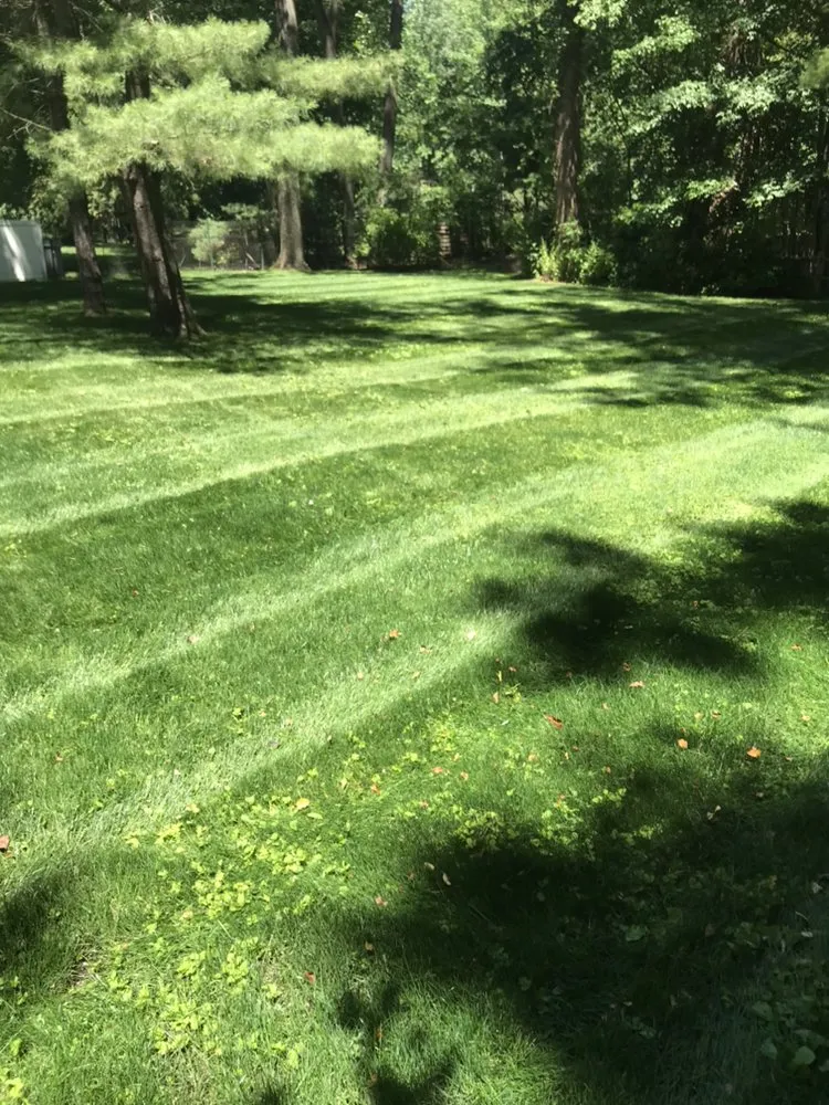 Trusted landscaping services for residential properties across Bedford Hills, NY - Williams Landscaping
