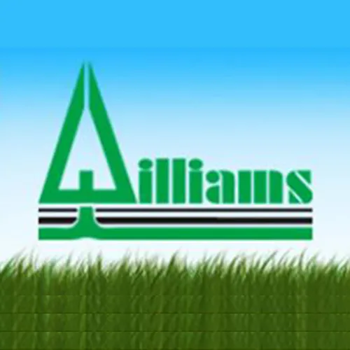 Professional landscape design for residential properties in Chicago, IL by Williams Landscaping