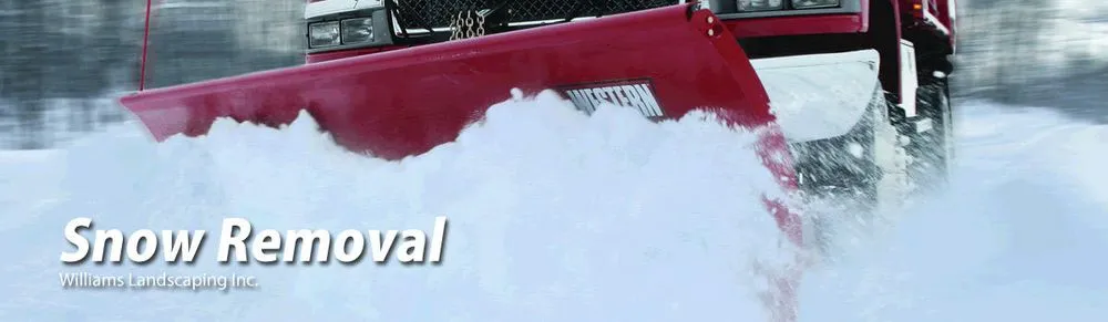 Top-rated garden landscaping in Chicago, IL - Williams Landscaping