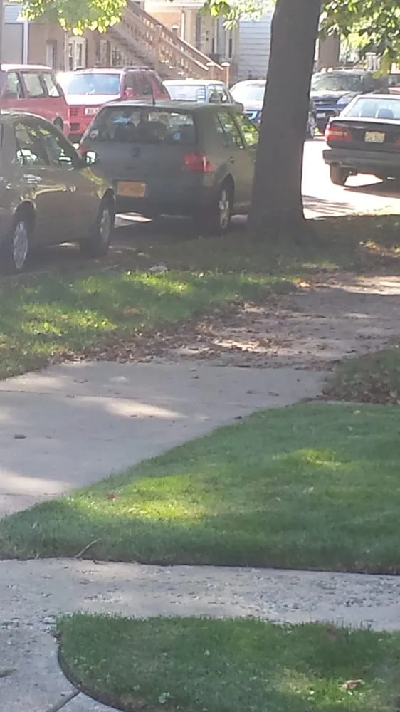 Reliable landscaping services in Chicago, IL - Williams Landscaping