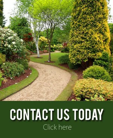 Expert yard maintenance experts serving Chicago, IL - Williams Landscaping
