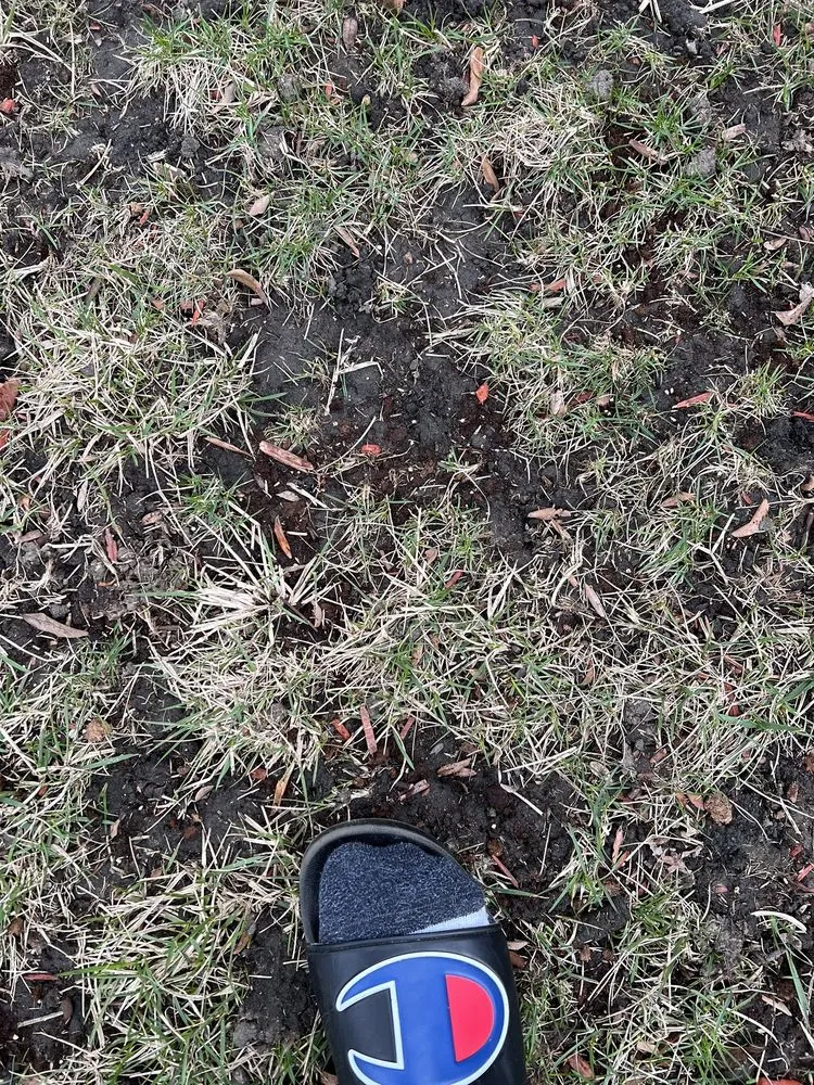 Top-rated landscape design in Chicago, IL - Williams Landscaping