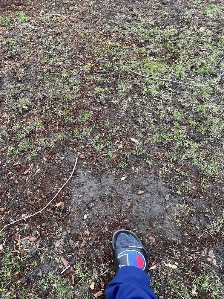 Trusted yard maintenance for residential properties in Chicago, IL by Williams Landscaping