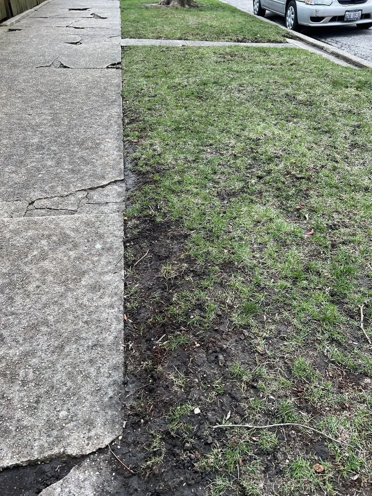 Top-rated lawn mowing service experts serving Chicago, IL - Williams Landscaping