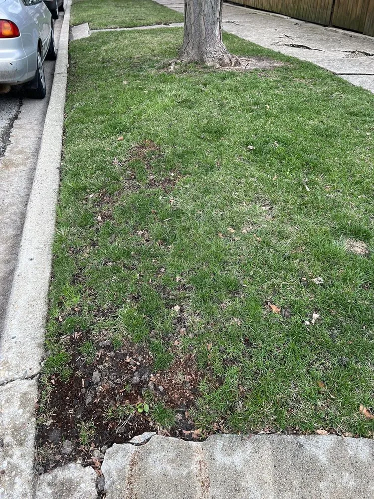 Professional residential landscaping for residential properties in Chicago, IL by Williams Landscaping