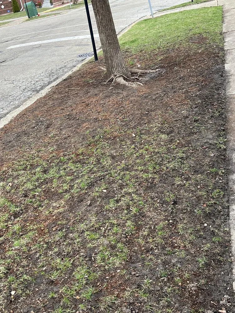 Professional outdoor landscaping in Chicago, IL by Williams Landscaping