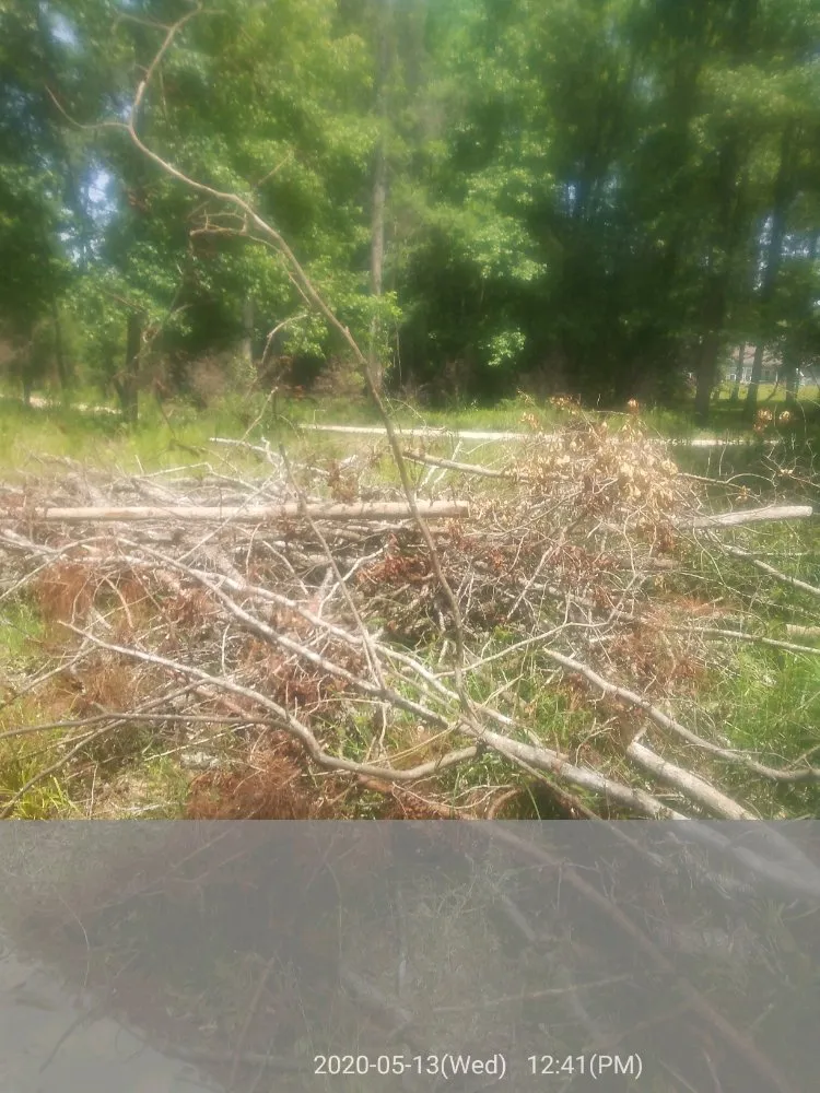 Expert landscape design experts serving Columbus, GA - Williams Landscaping