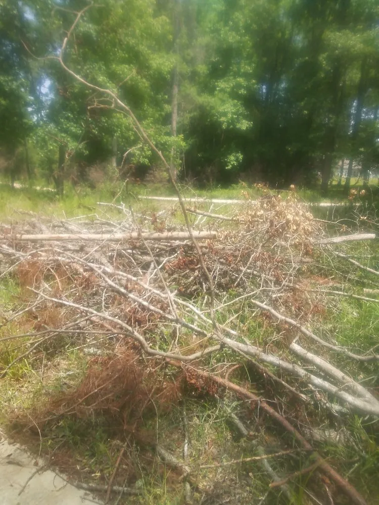 Top-rated garden landscaping experts serving Columbus, GA - Williams Landscaping